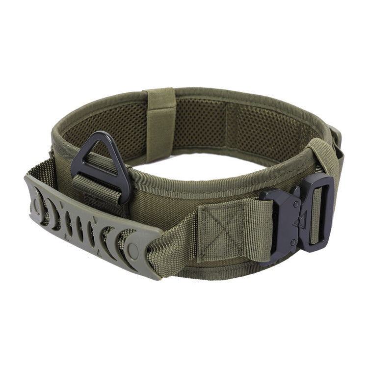 Pawptastic Quick Release Metal Buckle Outdoor Dog Collar