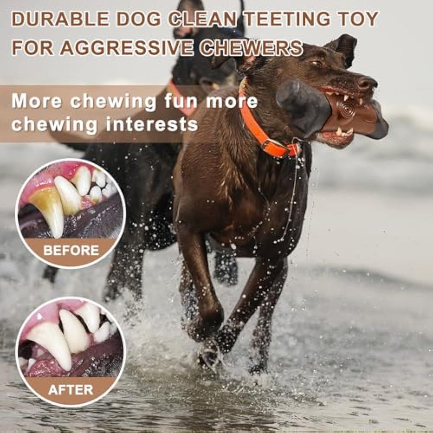 Pawptastic Tough Dog Toys For Aggressive Chewers